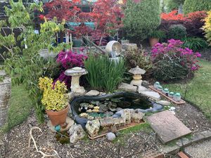 Fish Pond- click for photo gallery